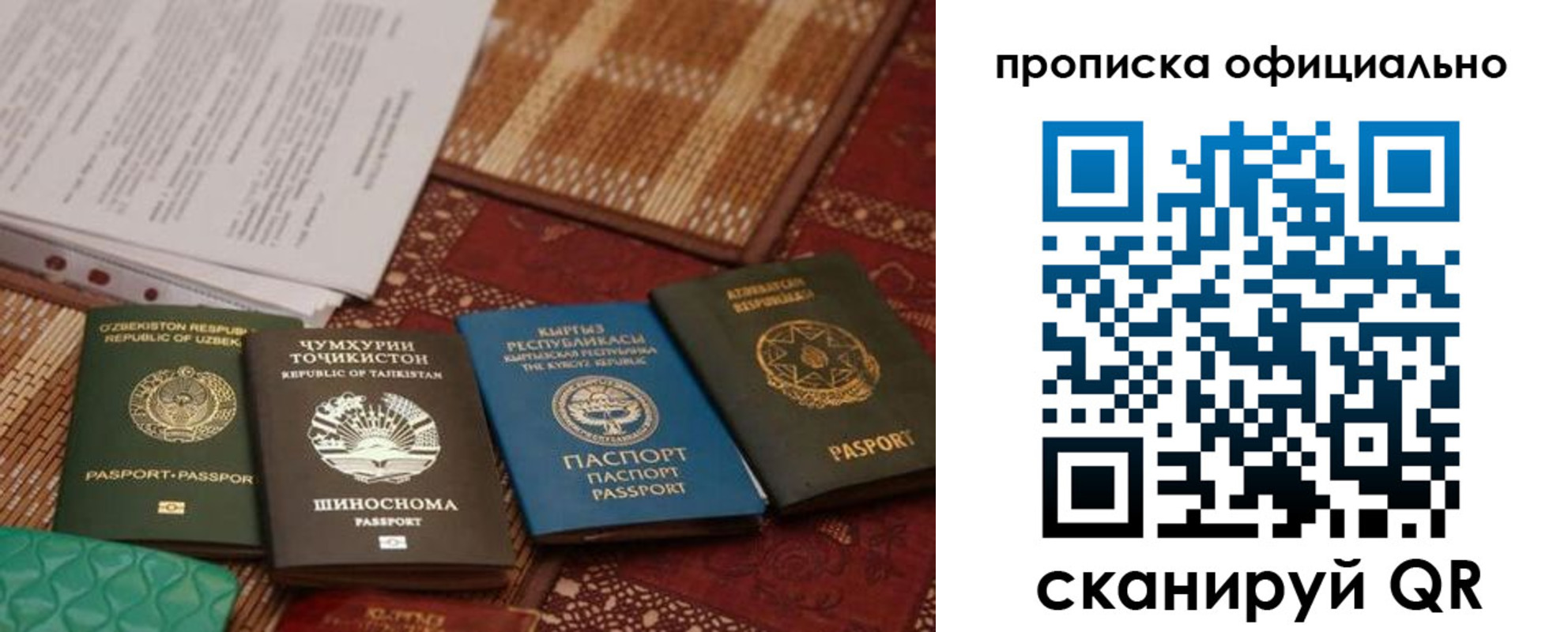прописка регистрация в Купино