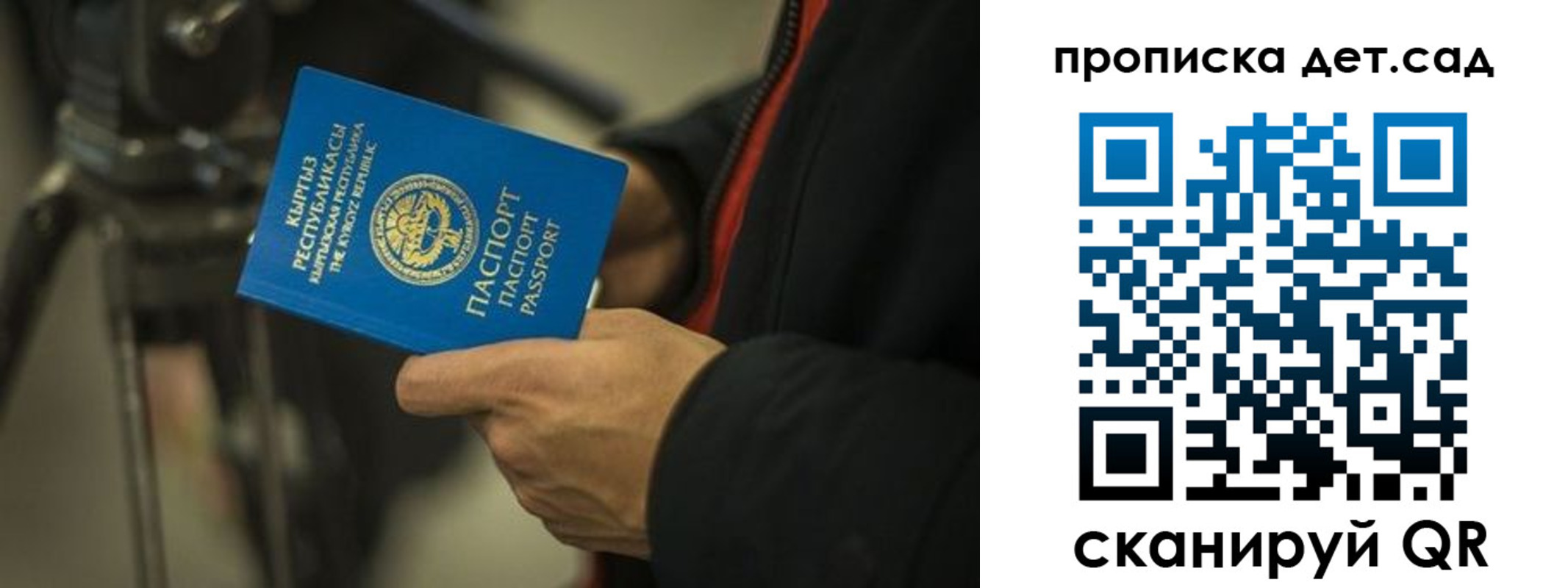 прописка поиск в Купино